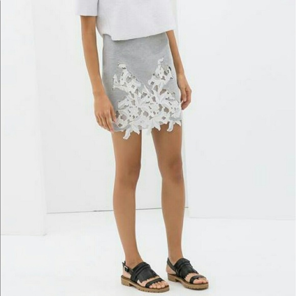 ZARA Skirt with Lace - Picture 1 of 5